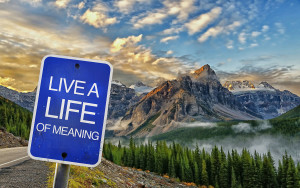 LIVE A LIFE OF MEANING SLIDE smaller