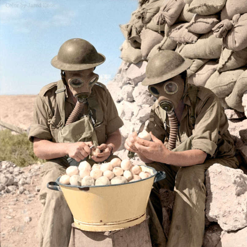 Soldiers peeling onions while wearing gas masks at Tobruk in October, 1941 Color